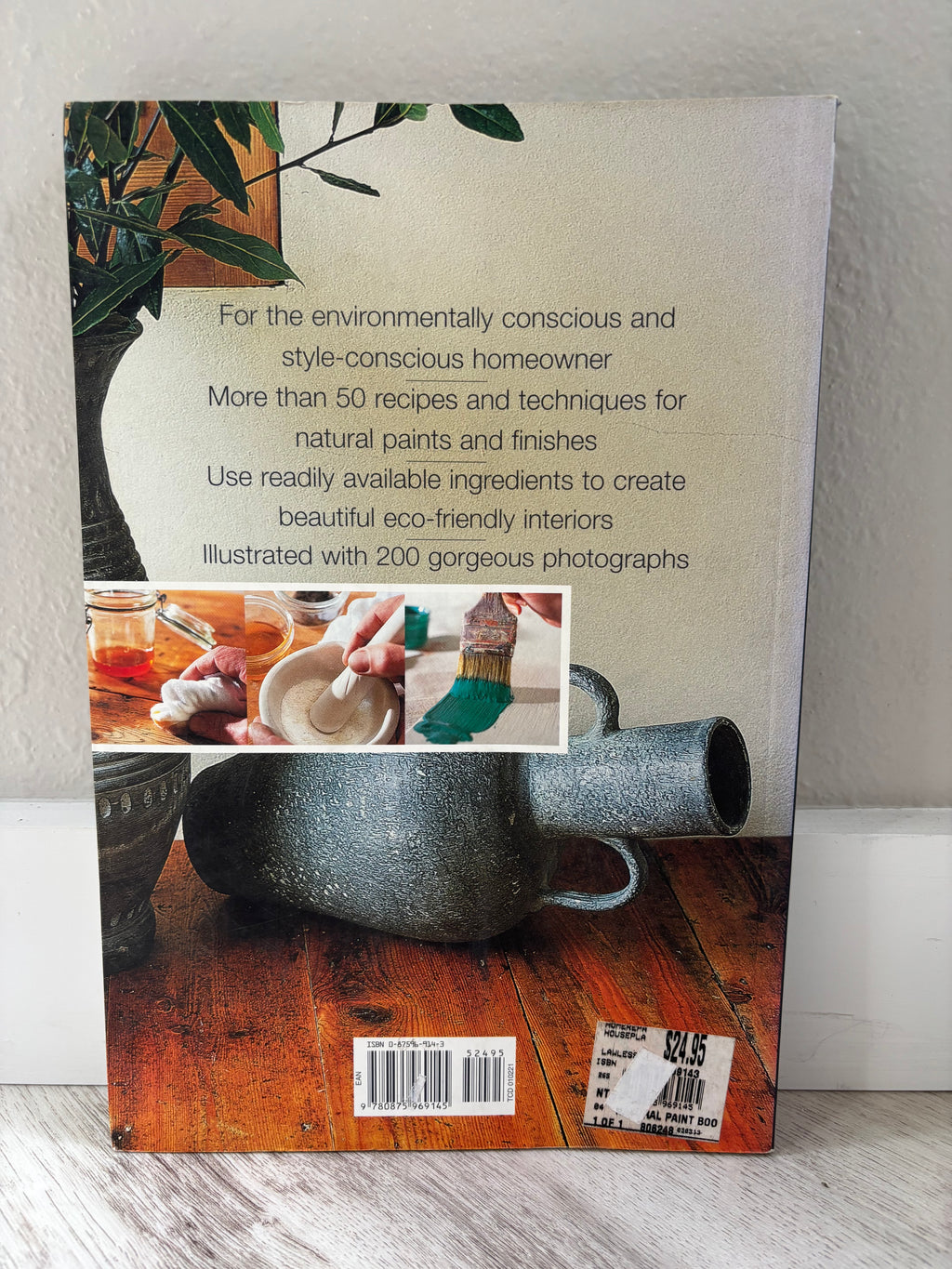 The Natural Paint Book by Lynn Edwards & Julia Lawless