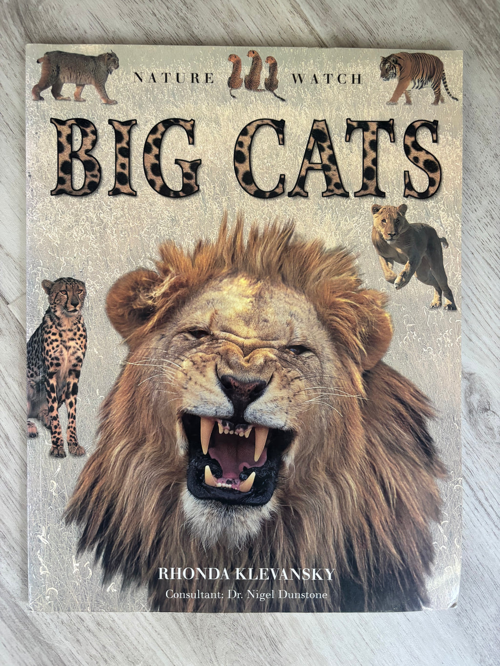 Nature Watch Big Cats & Spiders 2-Book Bundle by Rhonda Klevansky & Barbara Taylor
