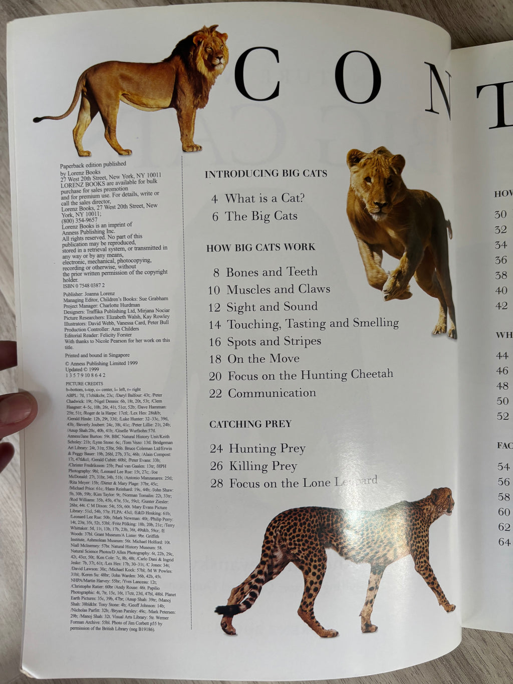 Nature Watch Big Cats & Spiders 2-Book Bundle by Rhonda Klevansky & Barbara Taylor