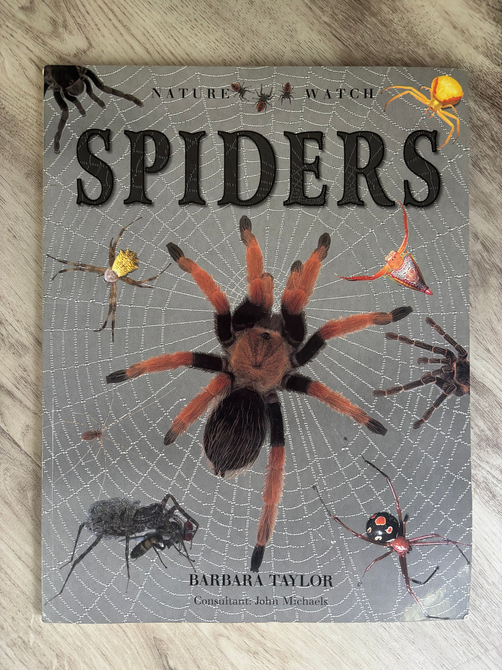 Nature Watch Big Cats & Spiders 2-Book Bundle by Rhonda Klevansky & Barbara Taylor