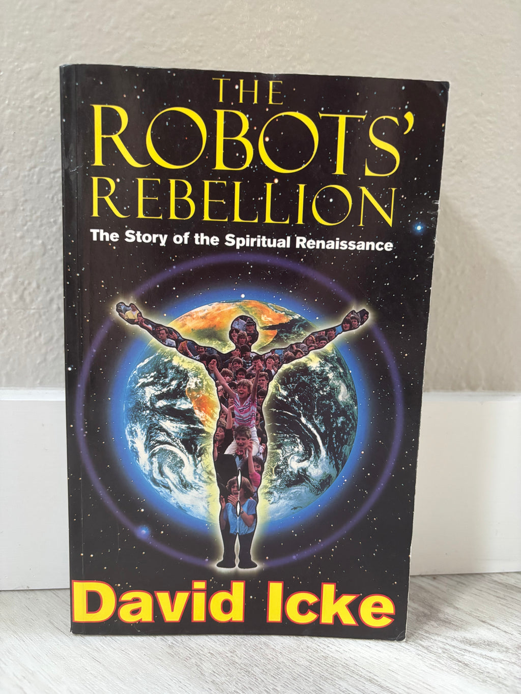 The Robots' Rebellion & ...And the Truth Shall Set You Free 2-Book Set by David Icke