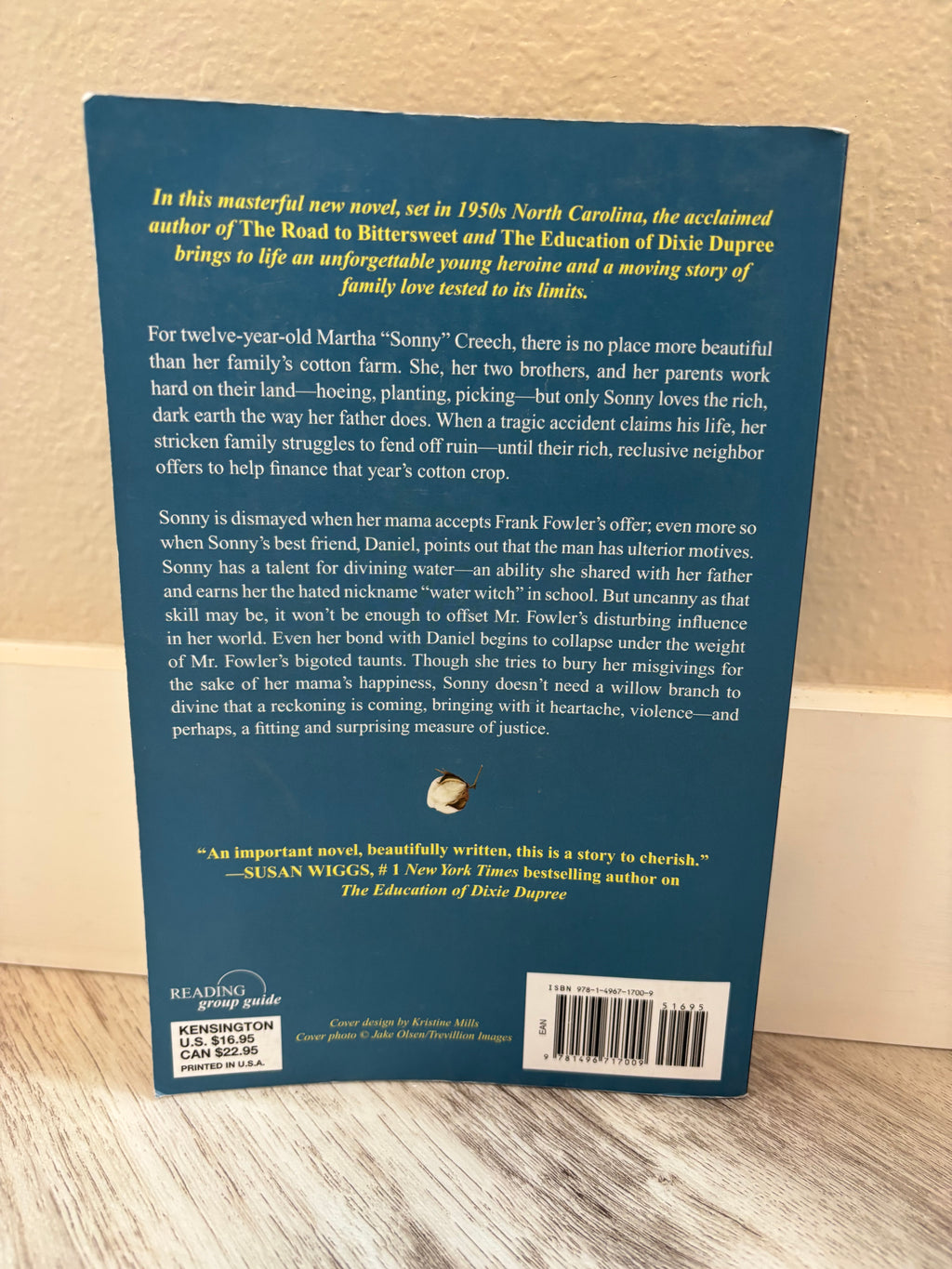 The Forgiving Kind by Donna Everhart