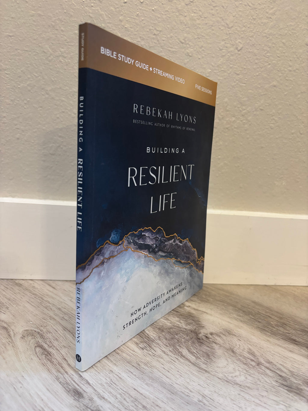 BUILDING A RESILIENT LIFE