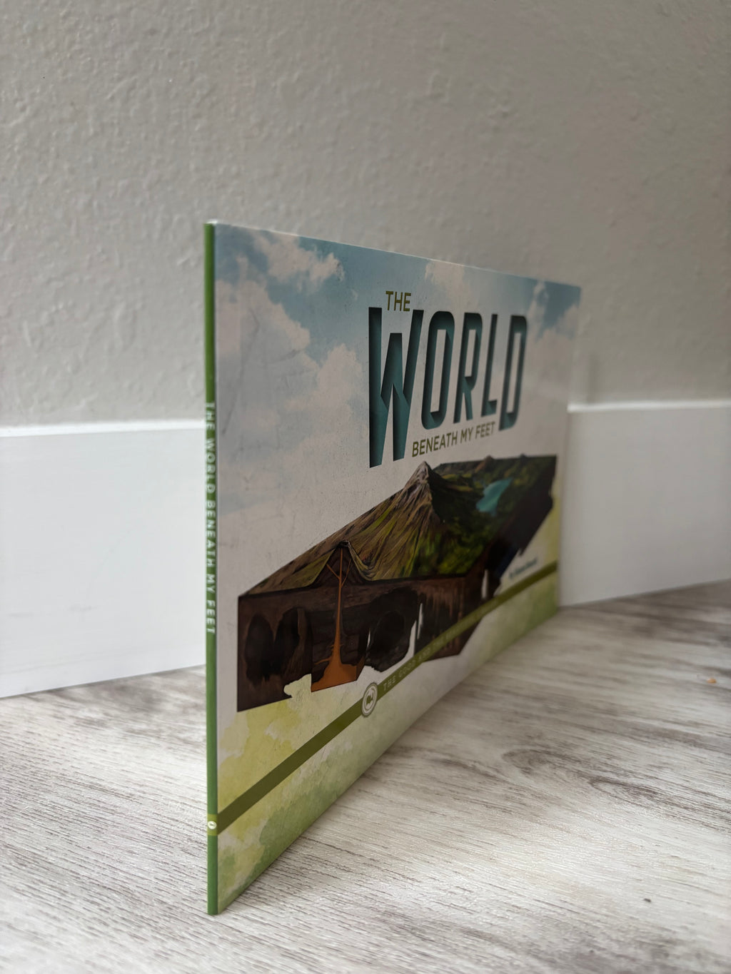 The World Beneath My Feet by Ileana Board