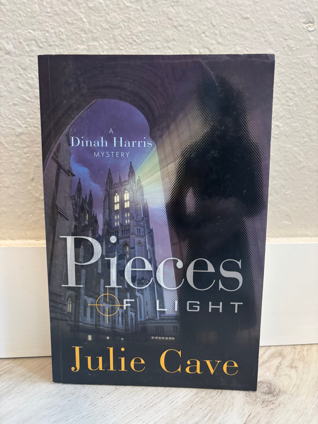 The Shadowed Mind by Julie Cave