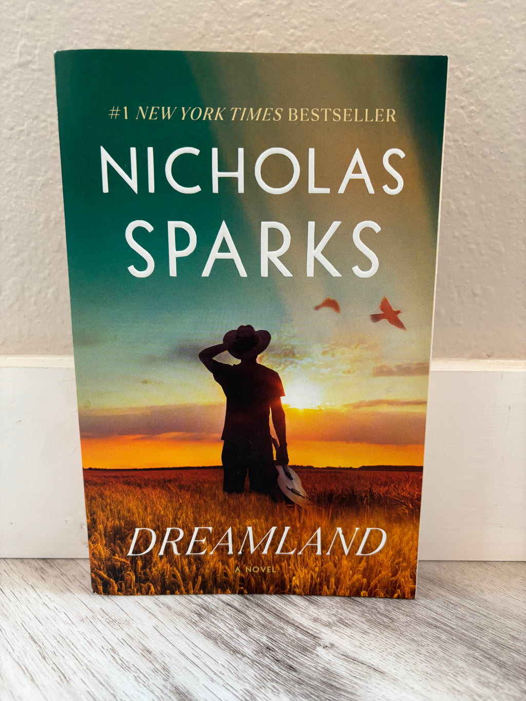 Dreamland by Nicholas Sparks