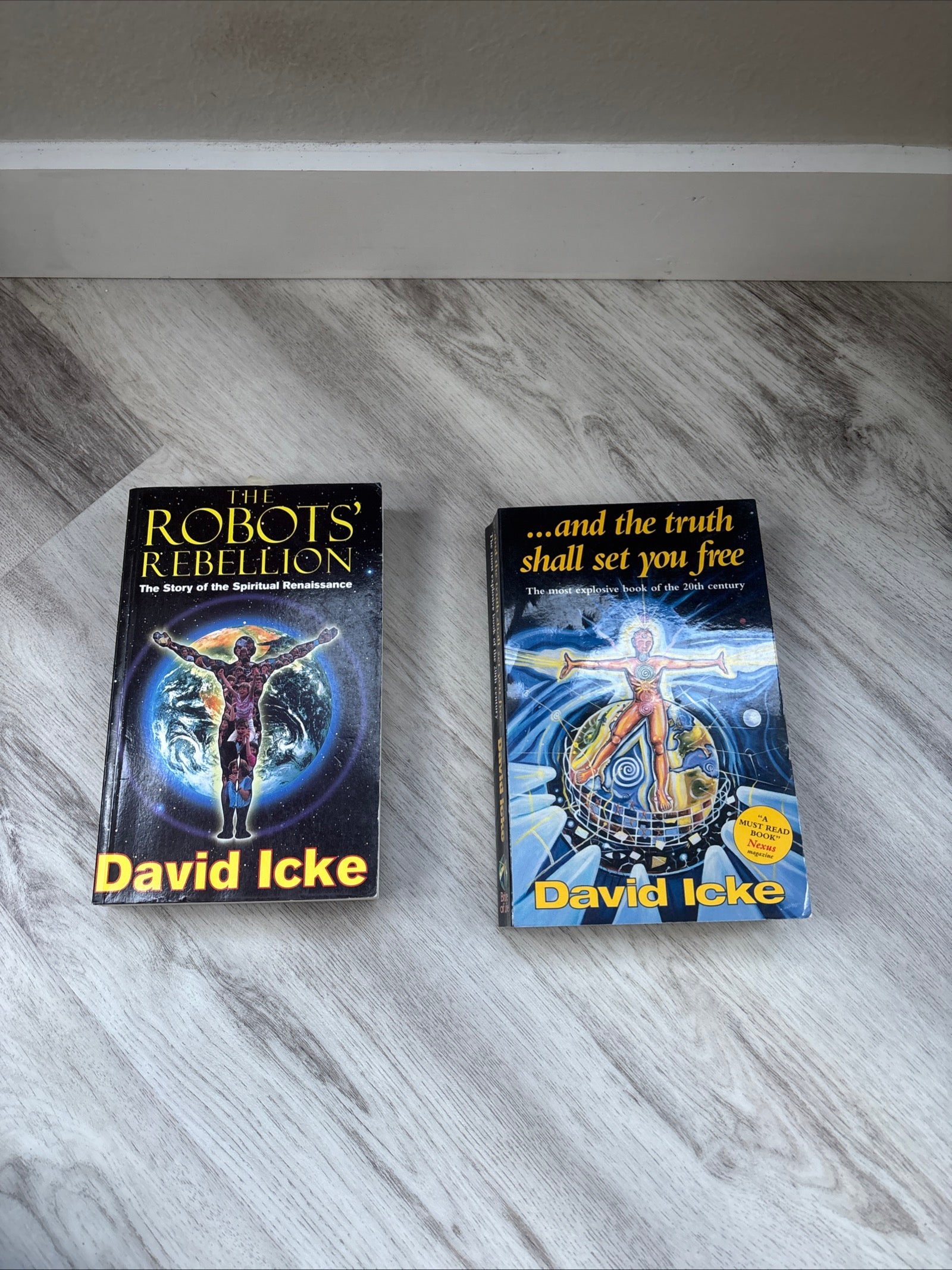 The Robots' Rebellion & ...And the Truth Shall Set You Free 2-Book Set by David Icke