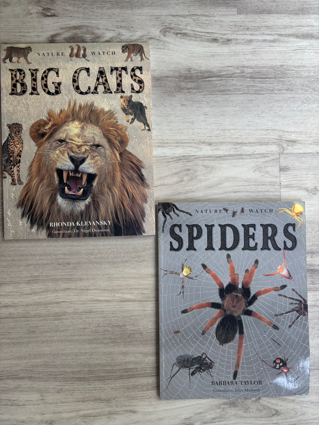 Nature Watch Big Cats & Spiders 2-Book Bundle by Rhonda Klevansky & Barbara Taylor