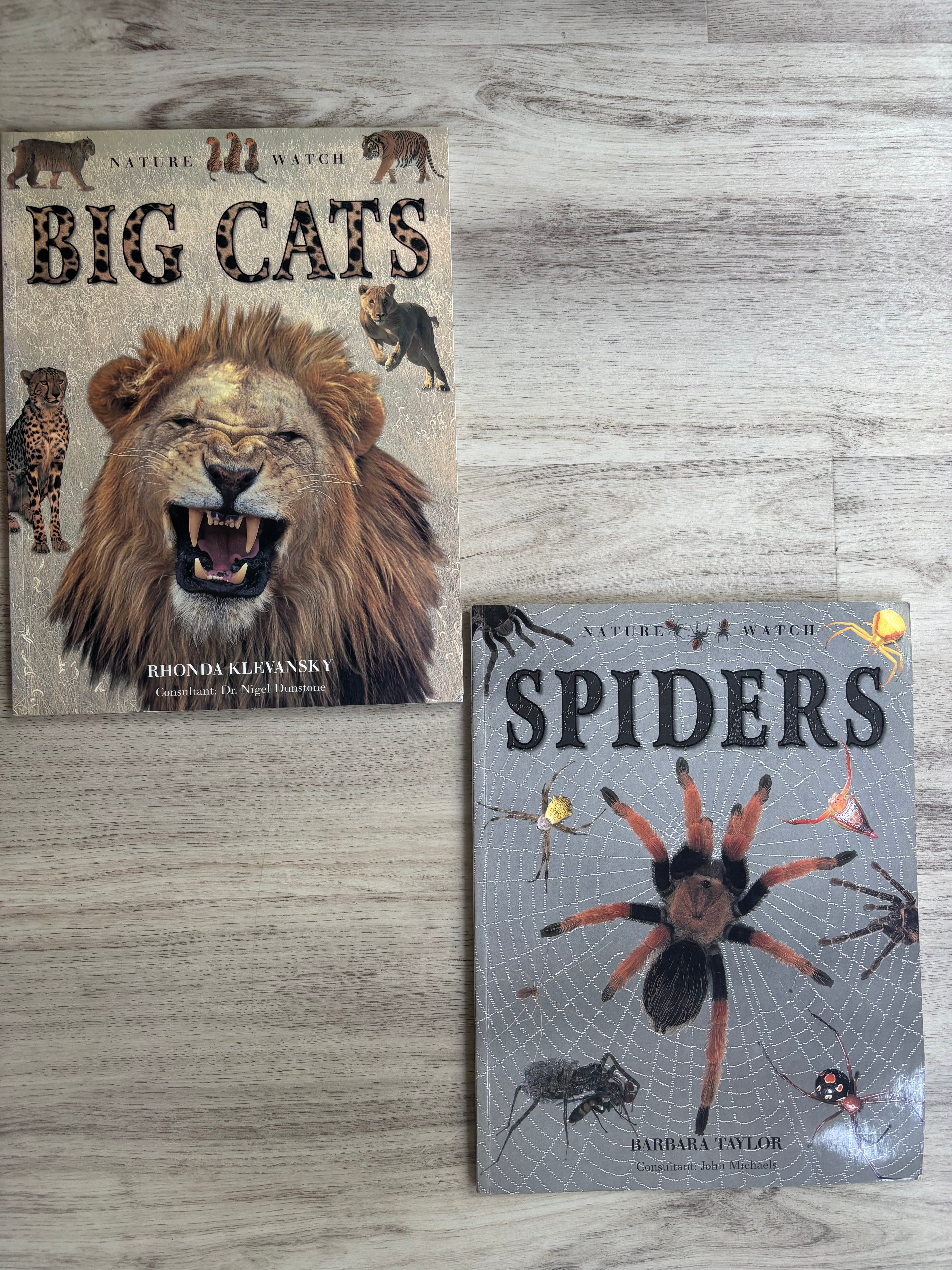 Nature Watch Big Cats & Spiders 2-Book Bundle by Rhonda Klevansky & Barbara Taylor