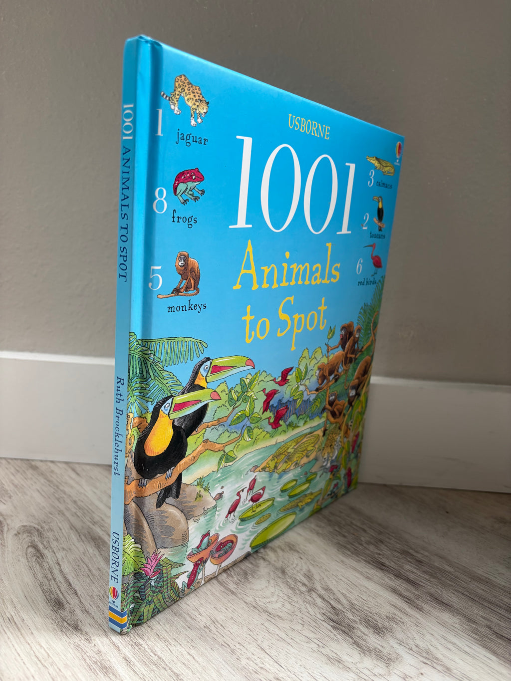 1001 Animals to Spot by Ruth Brocklehurst