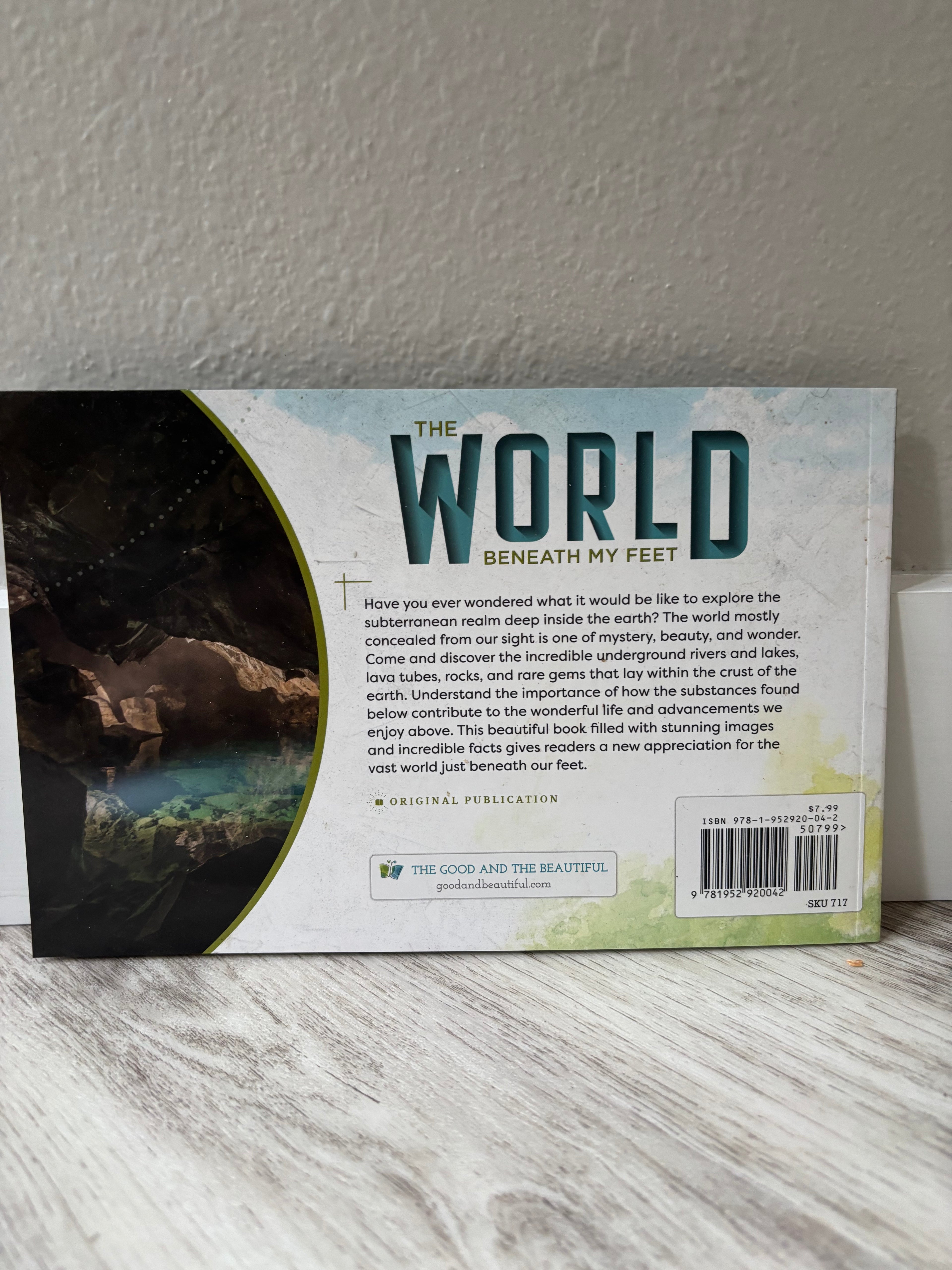 The World Beneath My Feet by Ileana Board