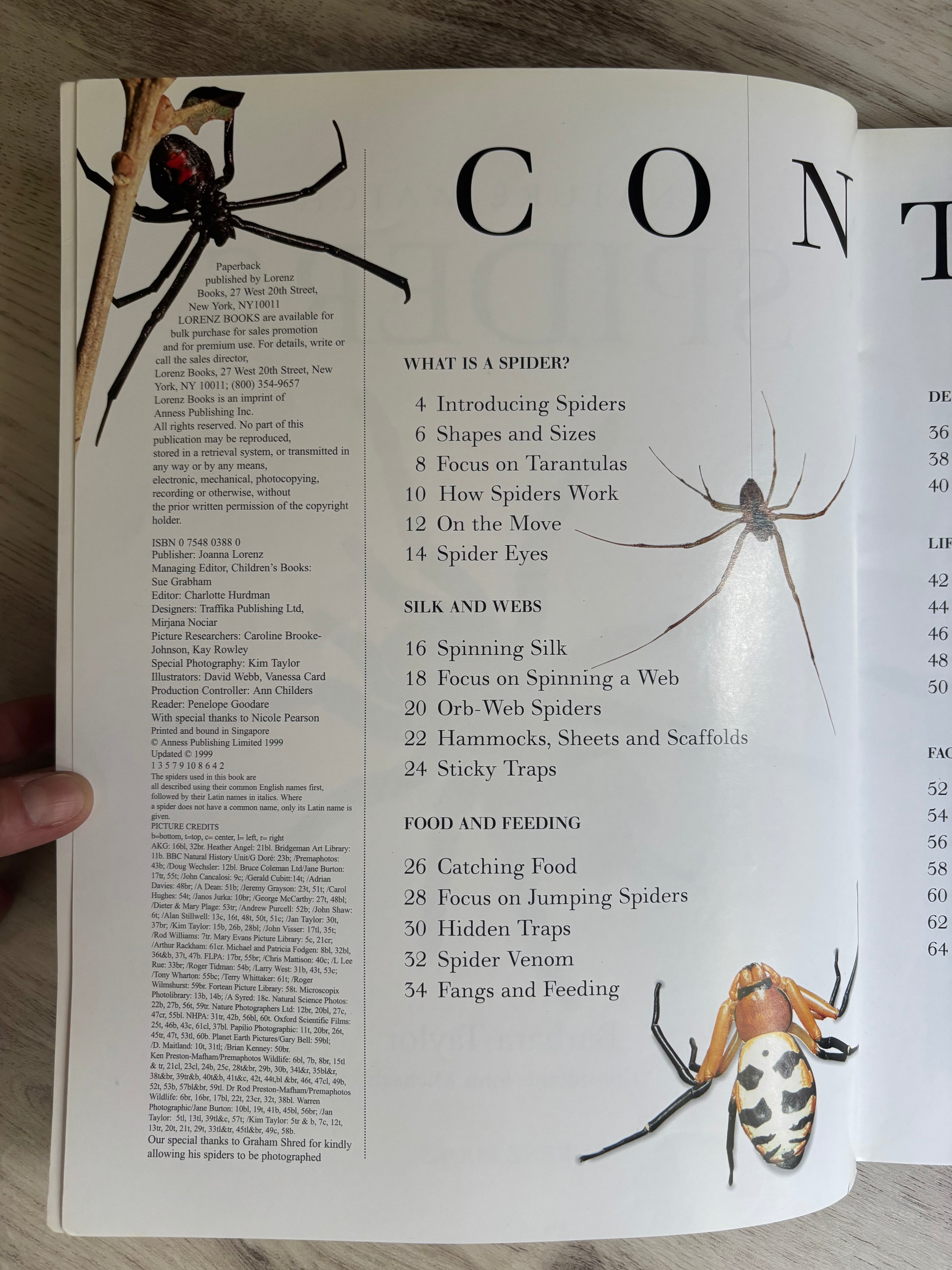 Nature Watch Big Cats & Spiders 2-Book Bundle by Rhonda Klevansky & Barbara Taylor