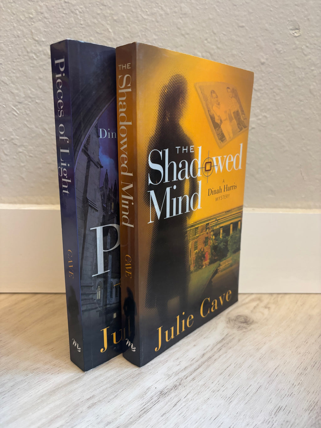 The Shadowed Mind by Julie Cave