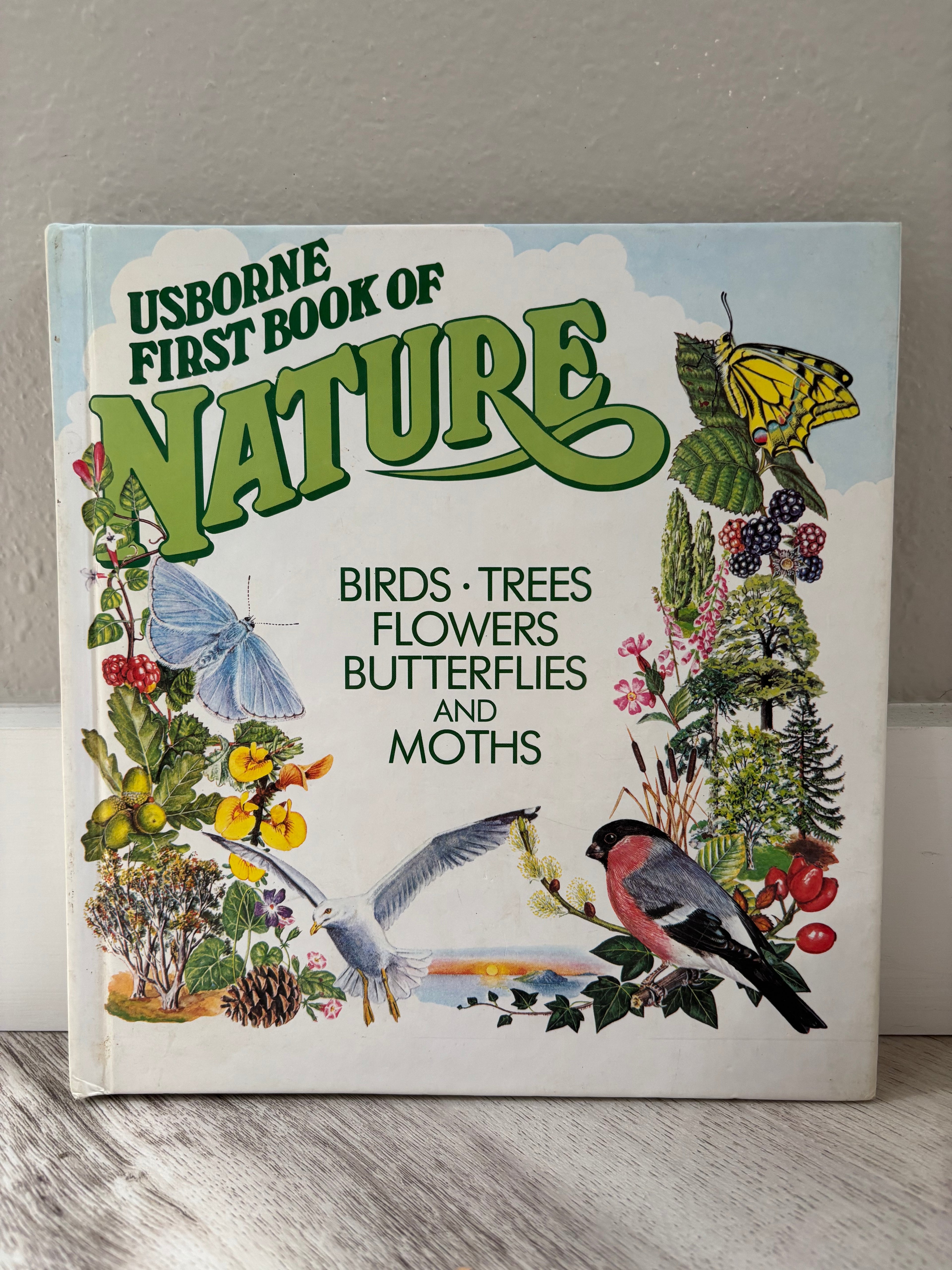 Usborne First Book of Nature by Rosamund Kidman Cox, Barbara Cork & Ruth Thomson