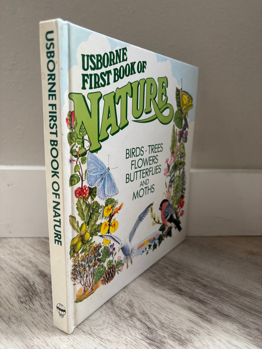 Usborne First Book of Nature by Rosamund Kidman Cox, Barbara Cork & Ruth Thomson